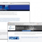 Metalmark-02 Metalmark-02